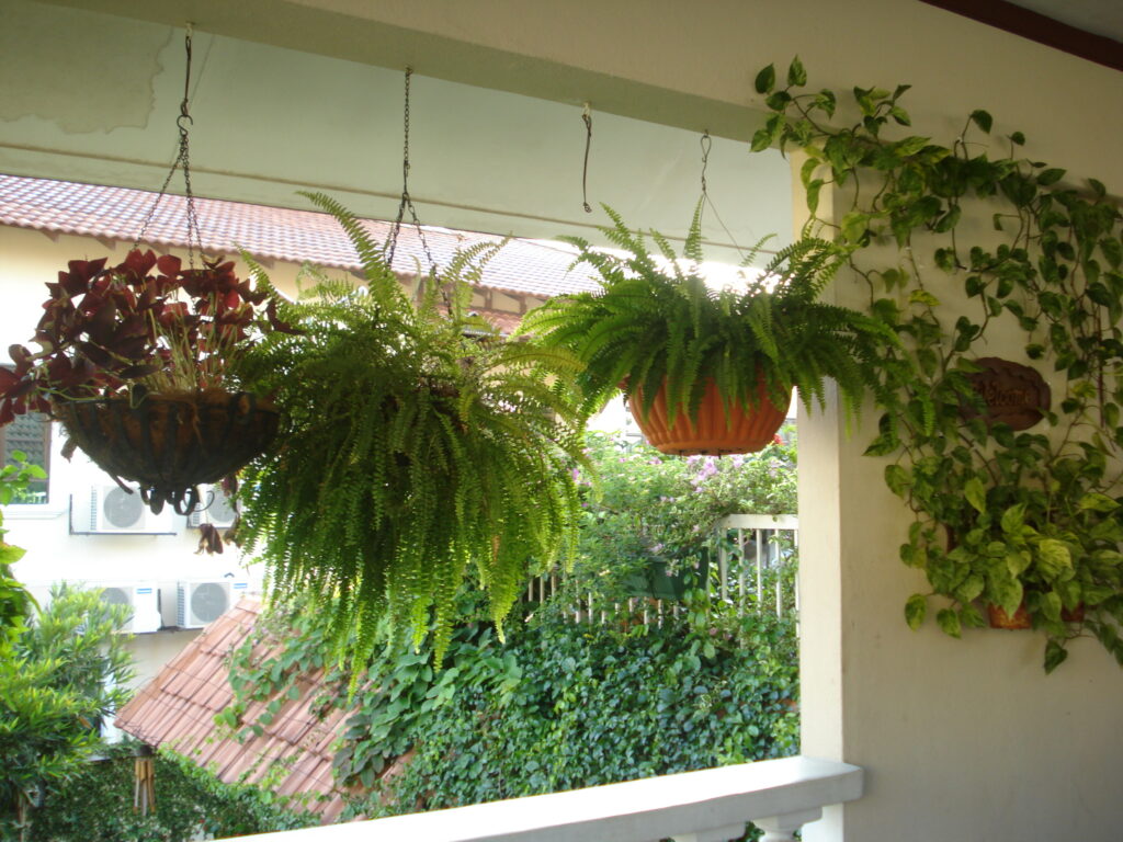 Hanging Gardens