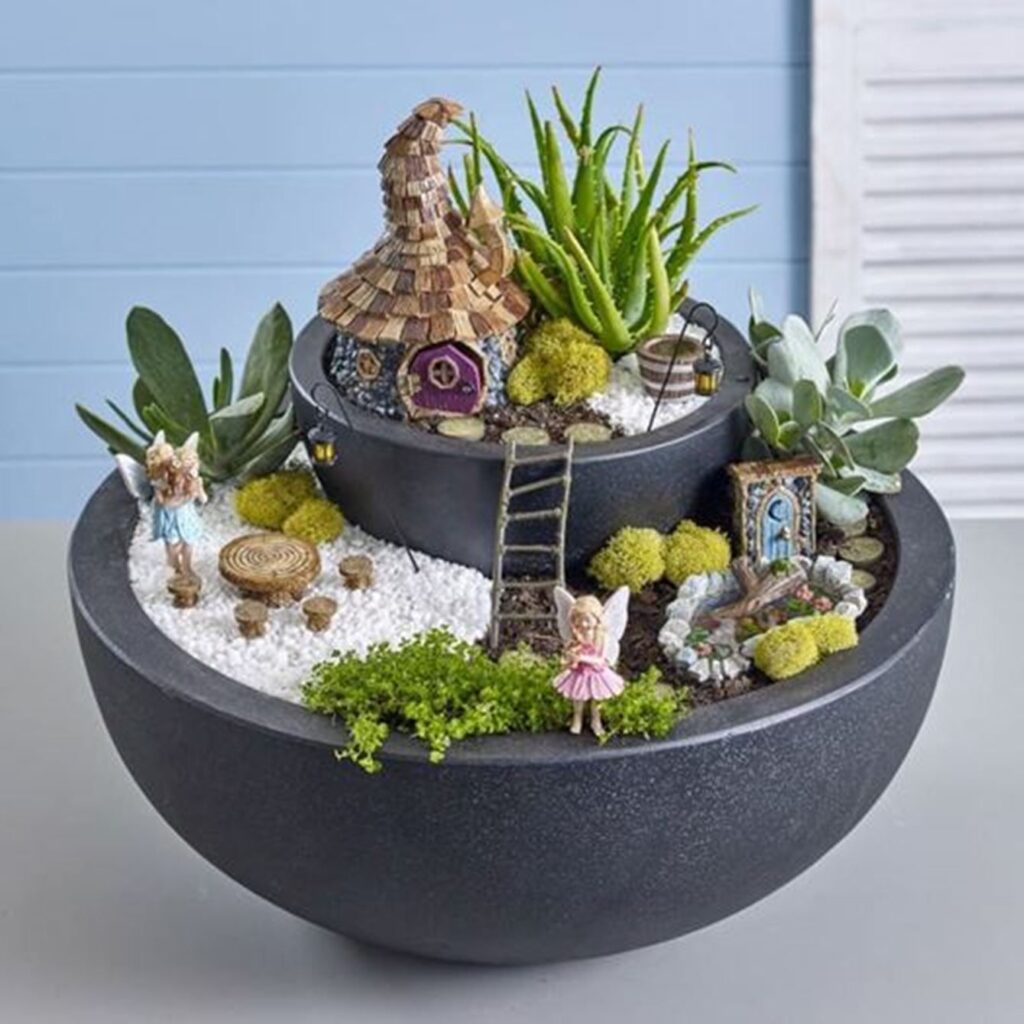 Indoor Fairy Gardens