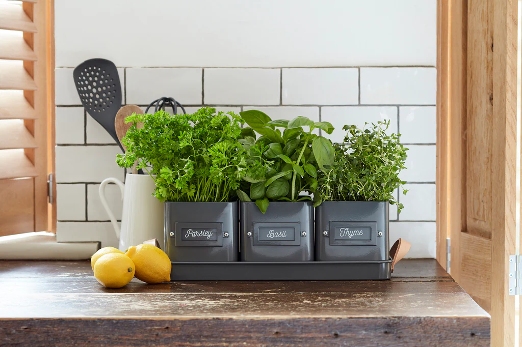 Indoor Herb Gardens