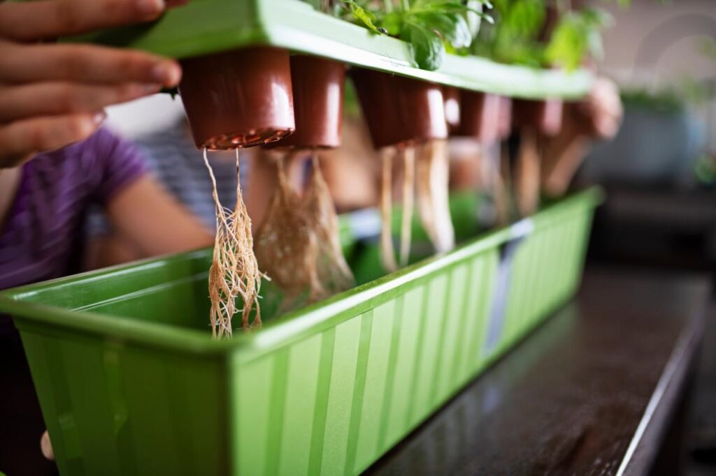 Indoor Hydroponic Gardens