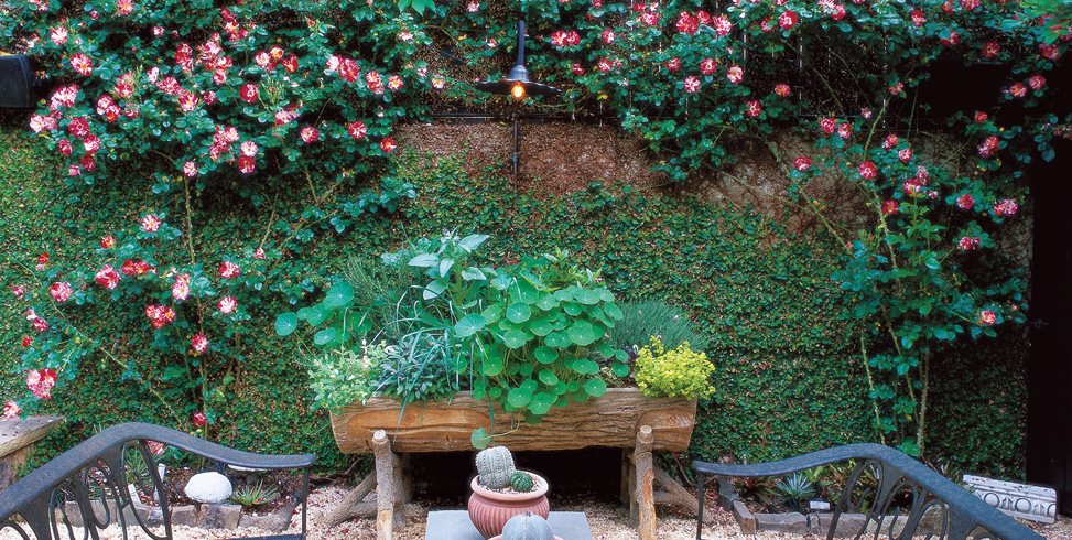 redesign your little garden