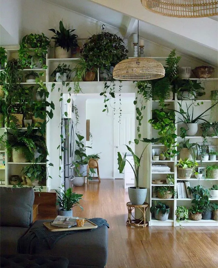 Indoor Plant Decoration