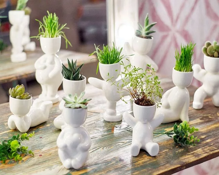 Top 10 Tiny Indoor Plants for Small Spaces