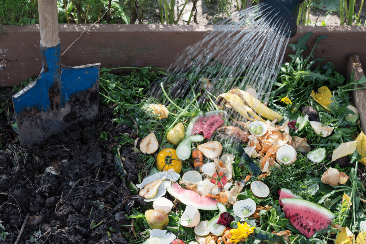 Watering and Composting