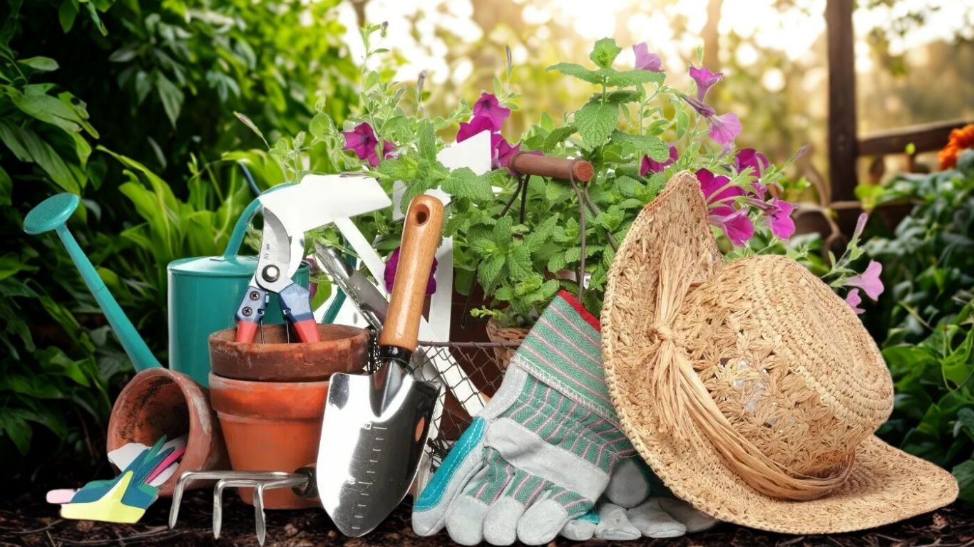 Common Sustainable Gardening Challenges