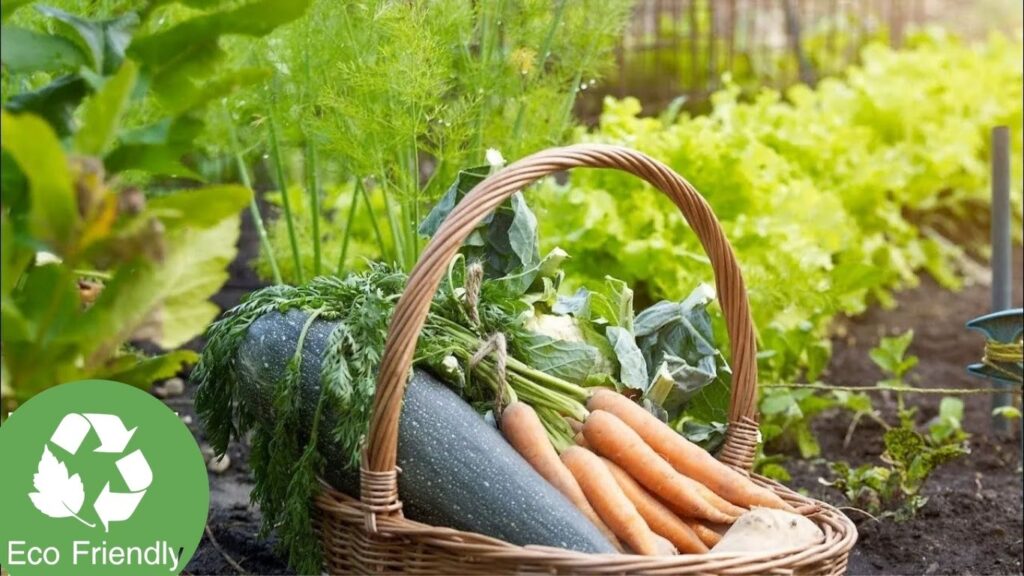 How to Create a Sustainable and Eco-Friendly Organic Garden at Home