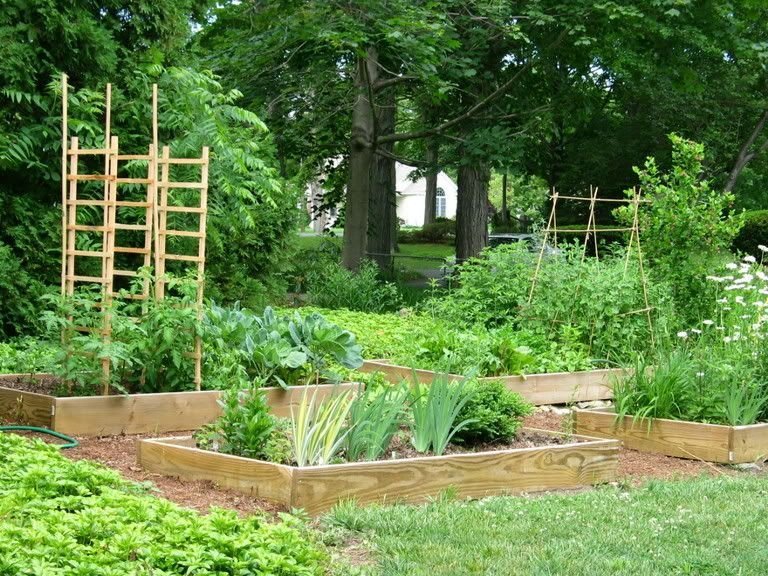 preserving the bounty of your organic garden