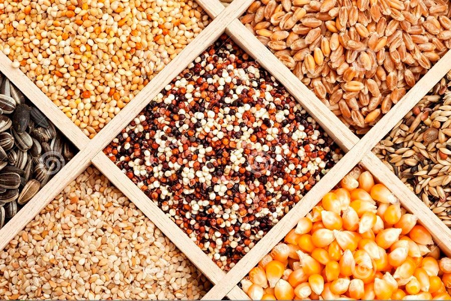 Storing Seeds for Future Planting