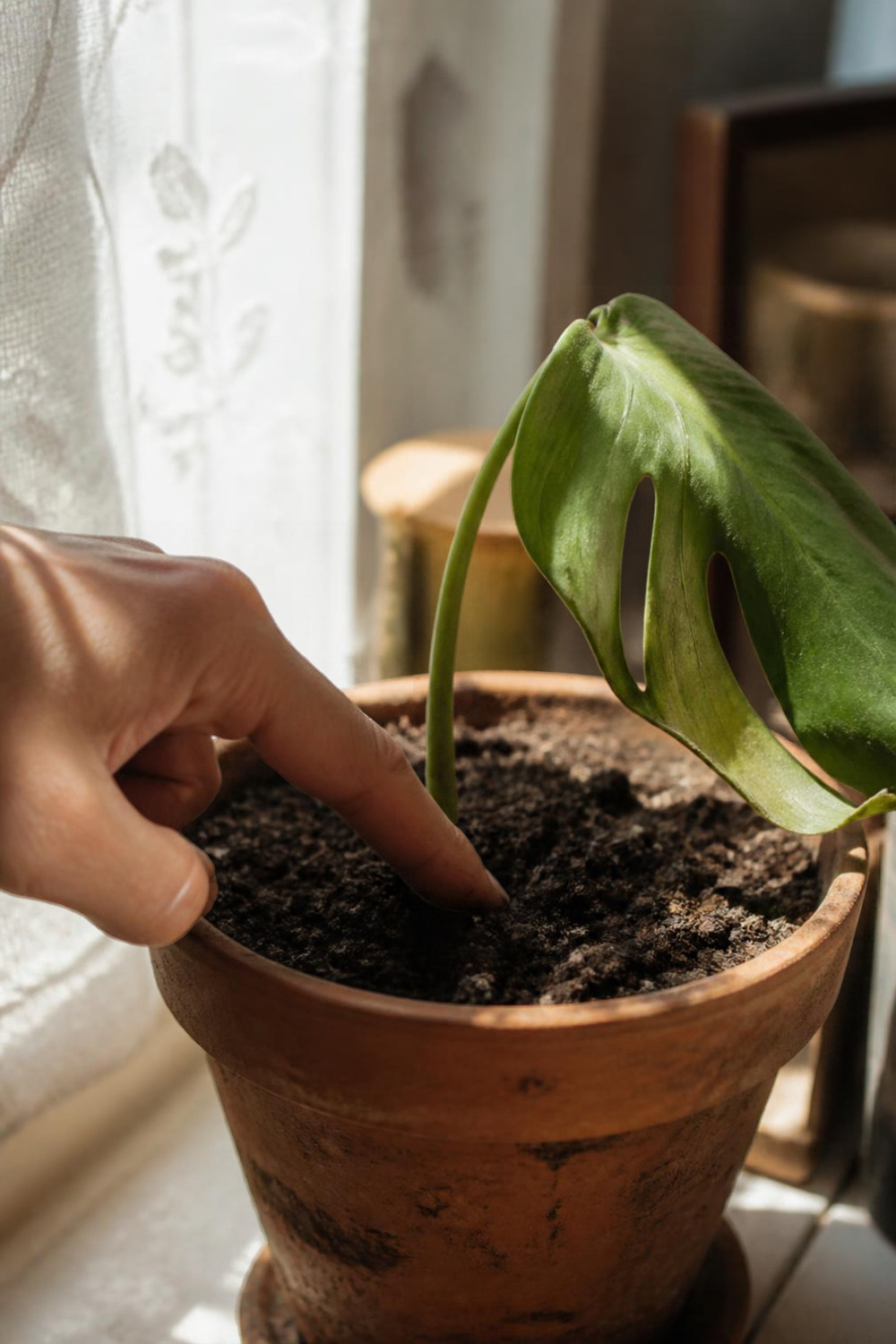 Close, natural photo of a hand pushing a finger into the soil of a potted houseplant on a windowsill. The plant has one slightly drooping leaf. Normal home light, visible soil, ordinary plastic or clay pot. No text, labels, arrows, icons, or polished advertising look.